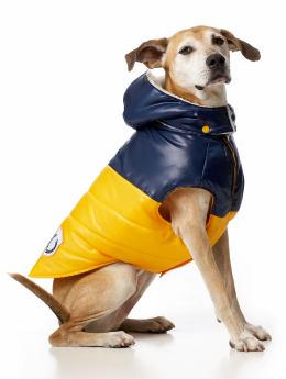 Women: Hooded Quilted Vests for Dogs - Winston Gold